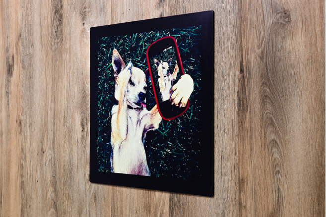 Instagram Aluminium Prints